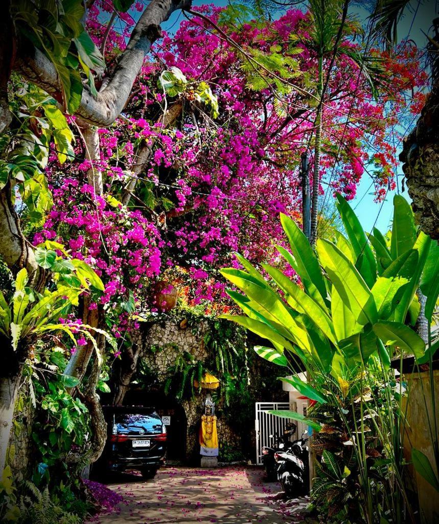 Exquisite Private Villa — Villa Sekala, Sanur, Se Bali Exteriör bild